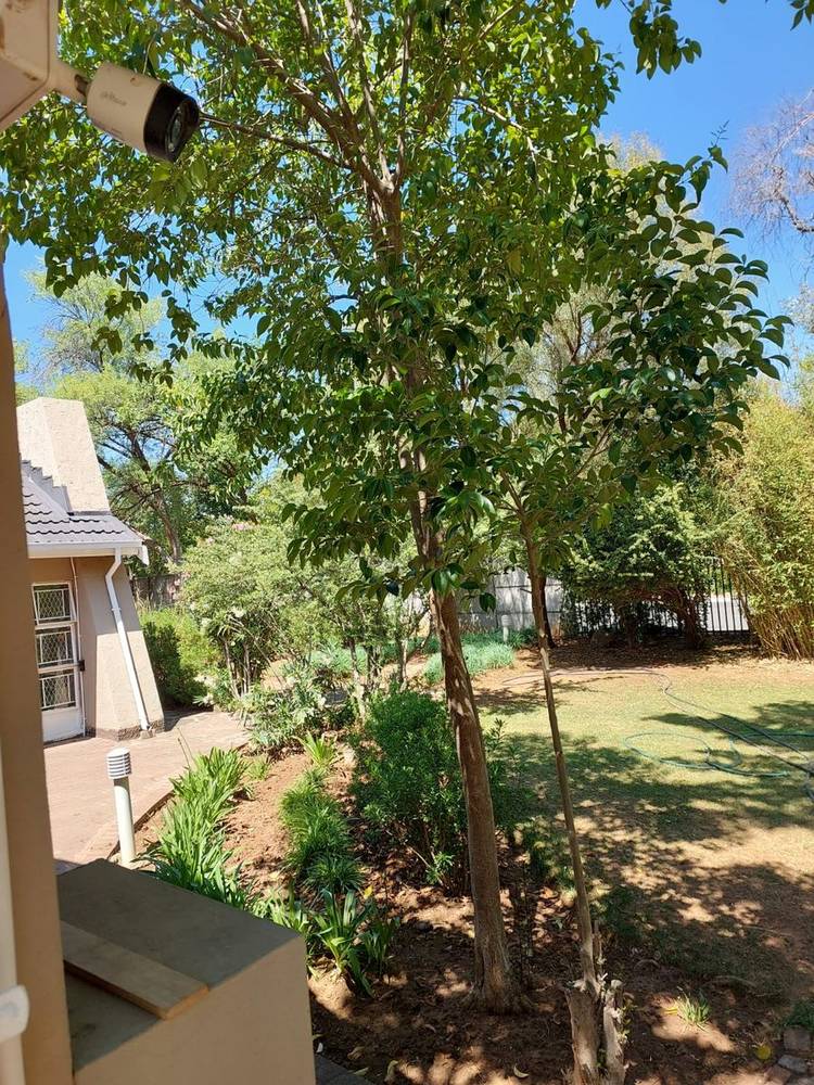 Front garden path